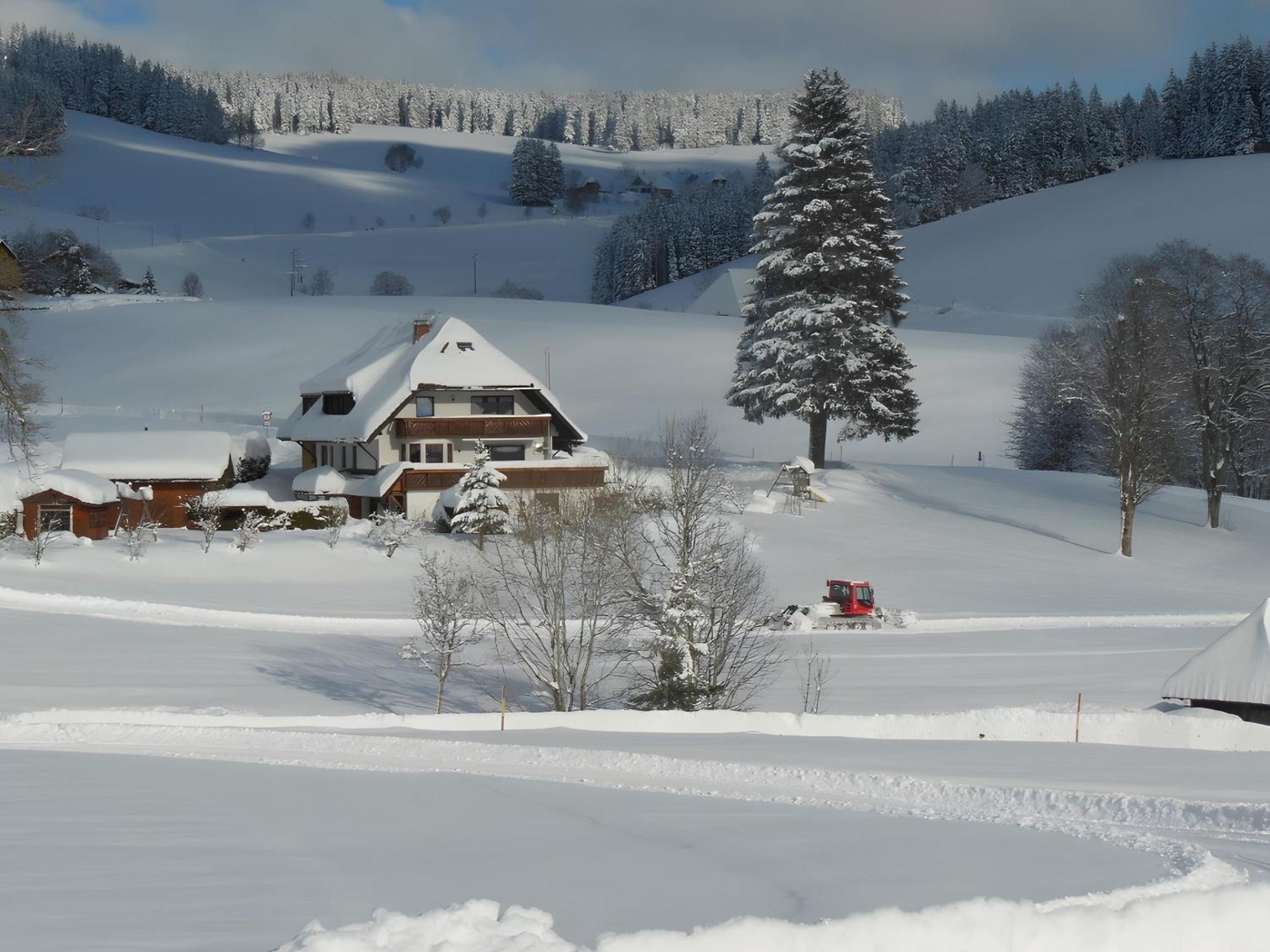 Ferienhaus Kaltenbach تيتيسي نيوستادت المظهر الخارجي الصورة
