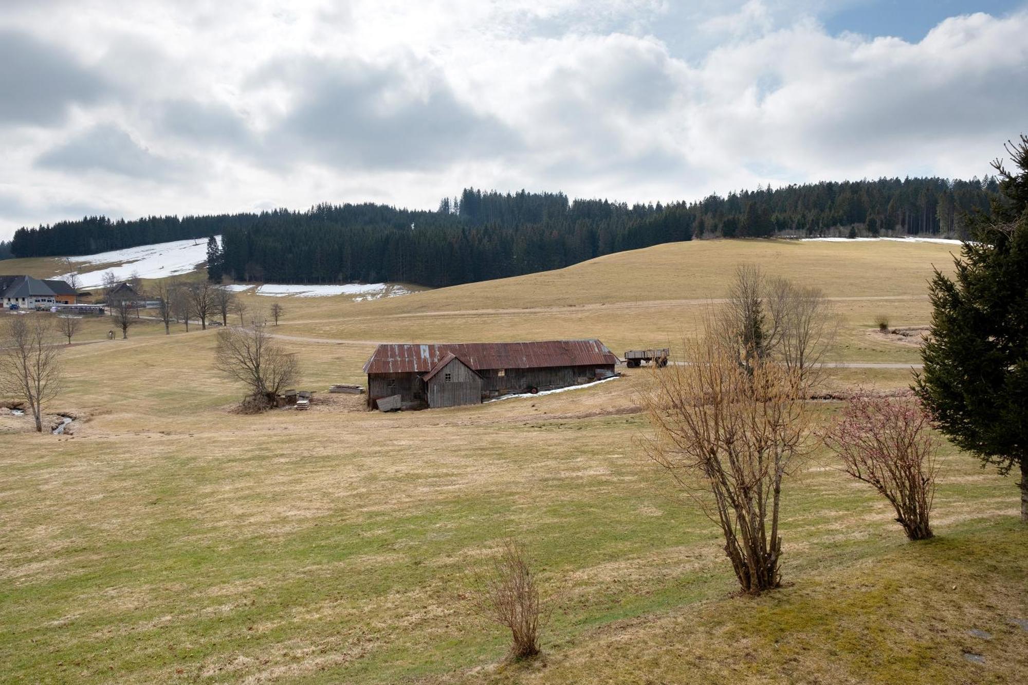 Ferienhaus Kaltenbach تيتيسي نيوستادت المظهر الخارجي الصورة