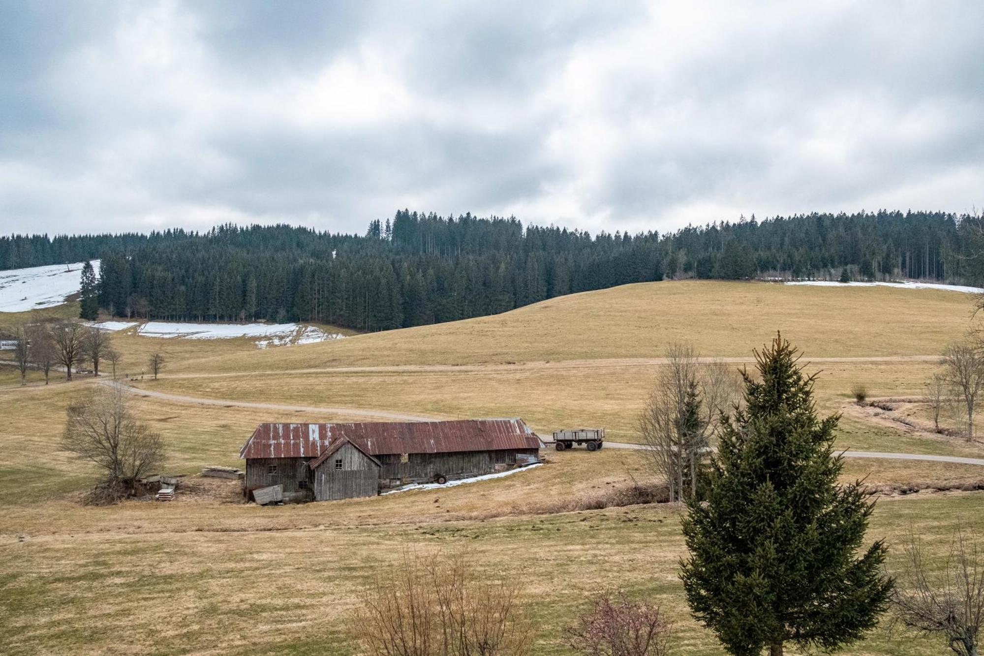 Ferienhaus Kaltenbach تيتيسي نيوستادت المظهر الخارجي الصورة
